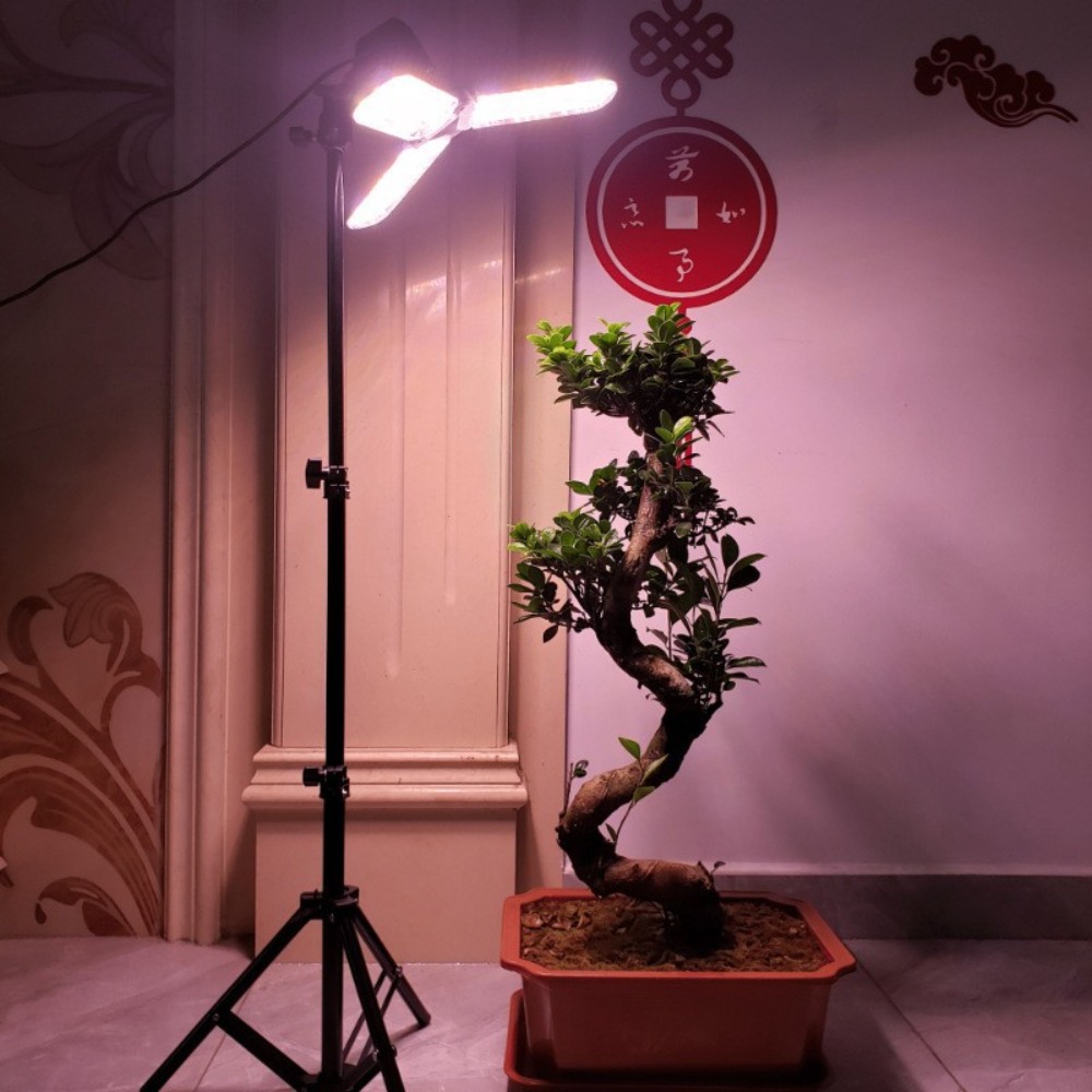 Statif Lampu 2M, Soket AC E27  - Photography Umbrella ulasan dan harga